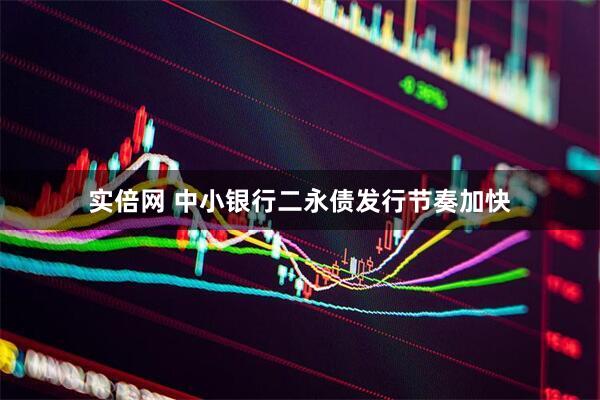 实倍网 中小银行二永债发行节奏加快