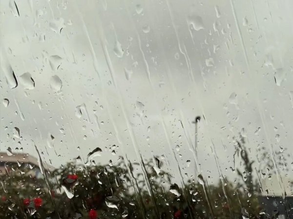 易盛通 北京城区已达暴雨量级，最高温仅12℃！2区暴雨蓝色预警