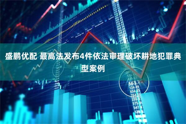 盛鹏优配 最高法发布4件依法审理破坏耕地犯罪典型案例