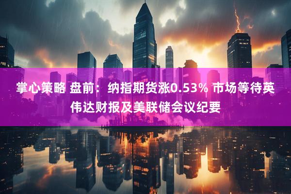 掌心策略 盘前：纳指期货涨0.53% 市场等待英伟达财报及美联储会议纪要