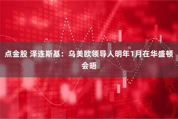 点金股 泽连斯基：乌美欧领导人明年1月在华盛顿会晤
